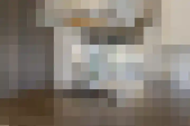 Dorpsweg 166 C Rotterdam thumbnail 13