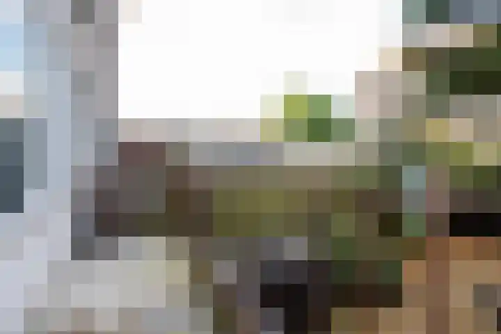 Dorpsweg 166 C Rotterdam thumbnail 21