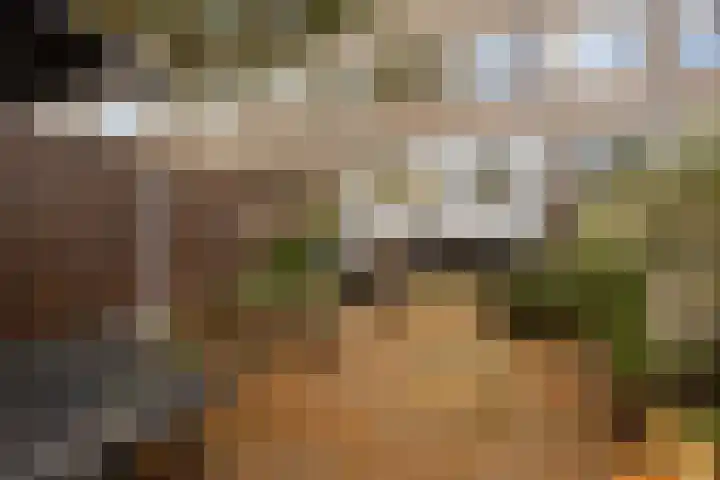 Dorpsweg 166 C Rotterdam thumbnail 22