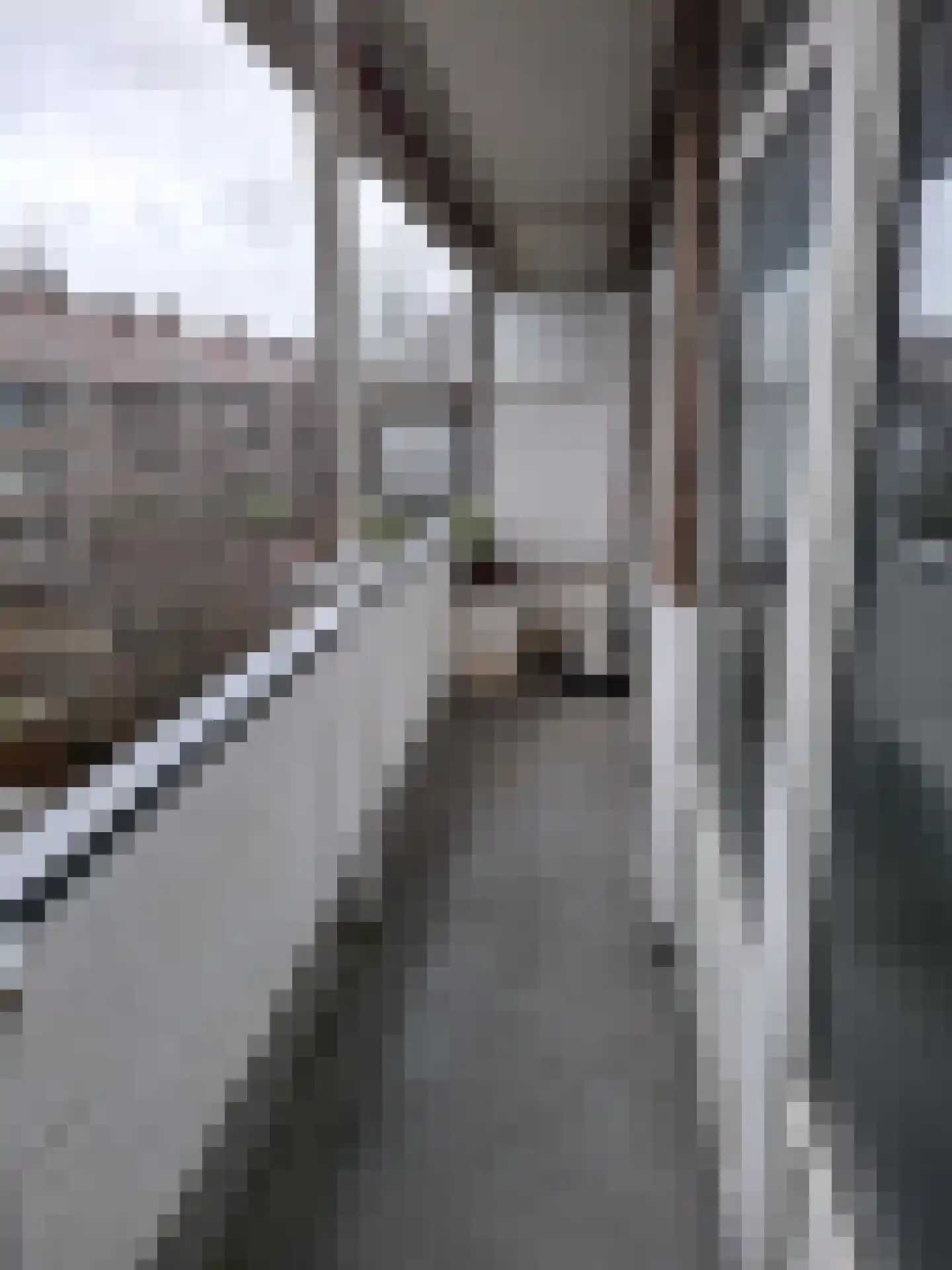 Dorpsweg 167 C Rotterdam thumbnail 10