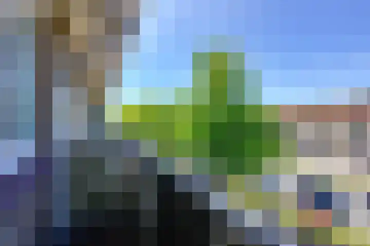 Dorpsweg 168 B Rotterdam thumbnail 18