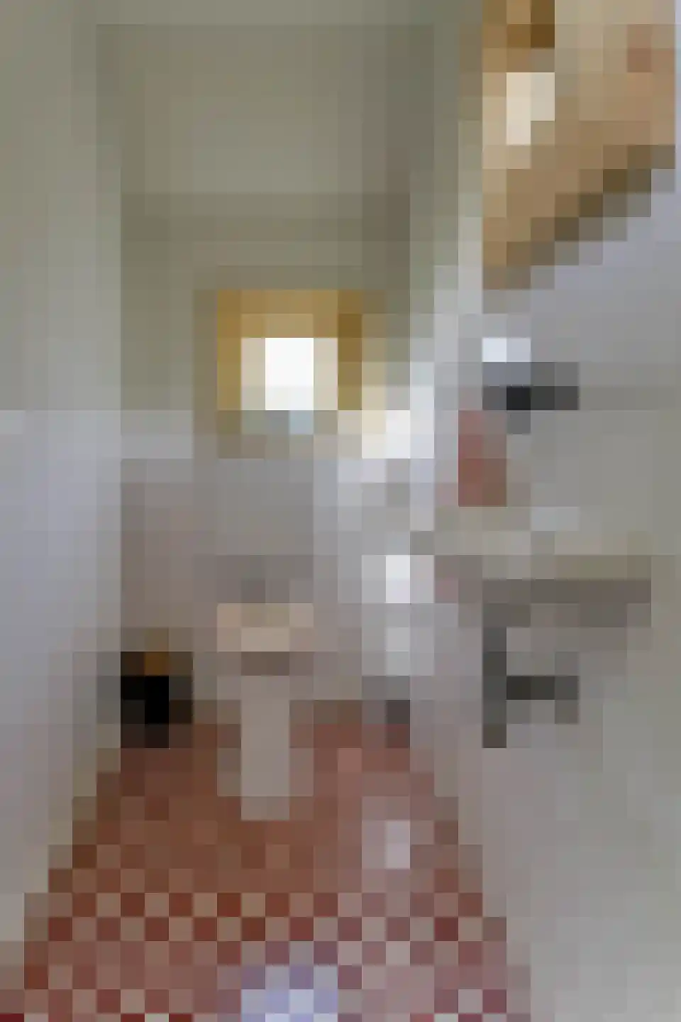 Dorpsweg 171 Twisk thumbnail 15