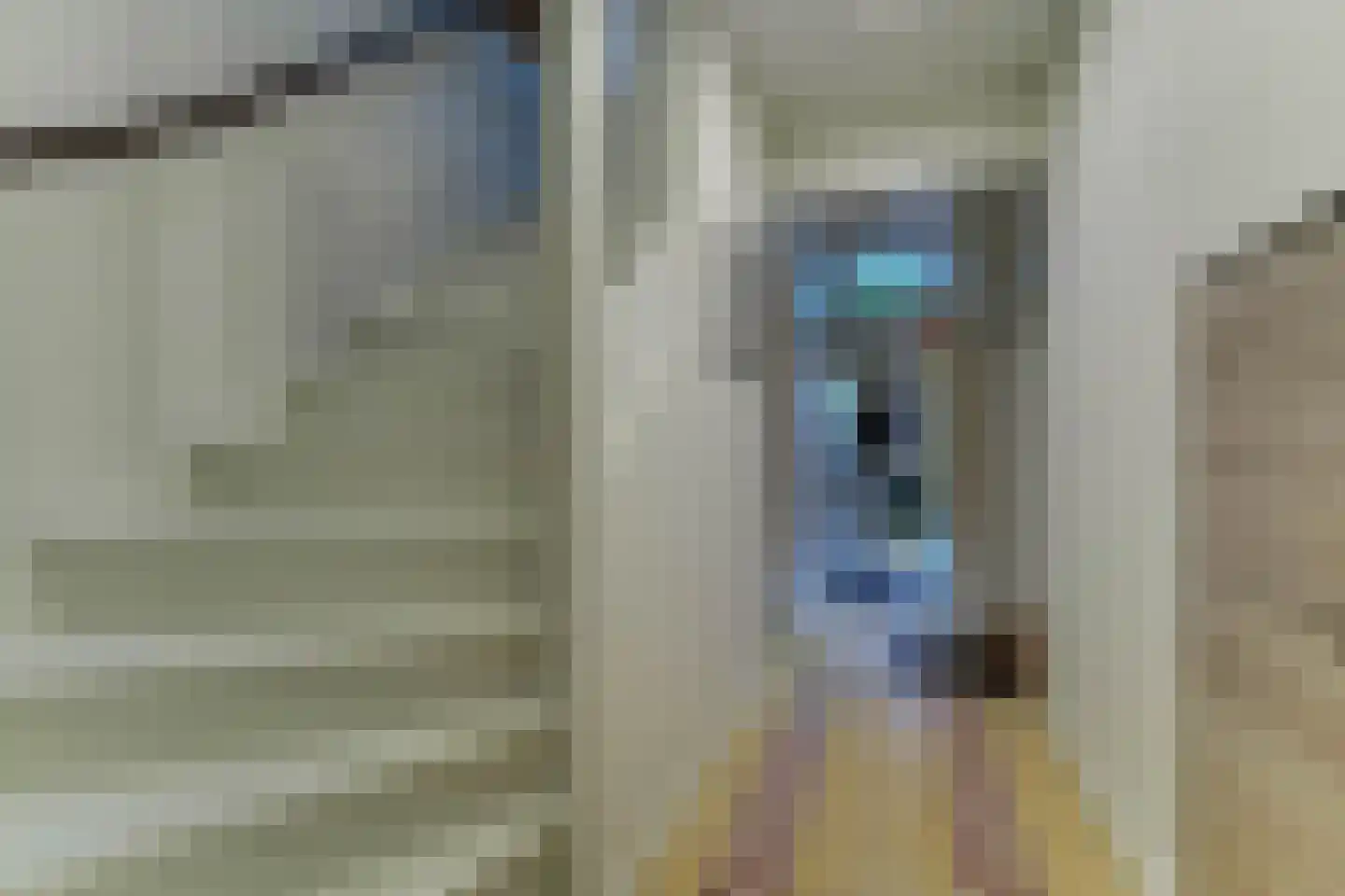 Dorpsweg 171 Twisk thumbnail 16