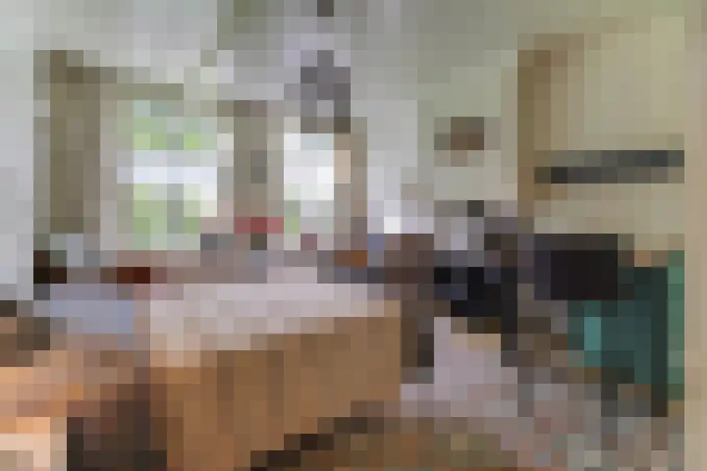 Dorpsweg 171 Twisk thumbnail 18