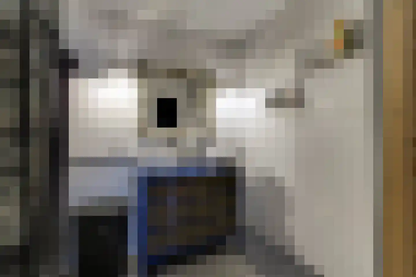 Dorpsweg 171 Twisk thumbnail 32