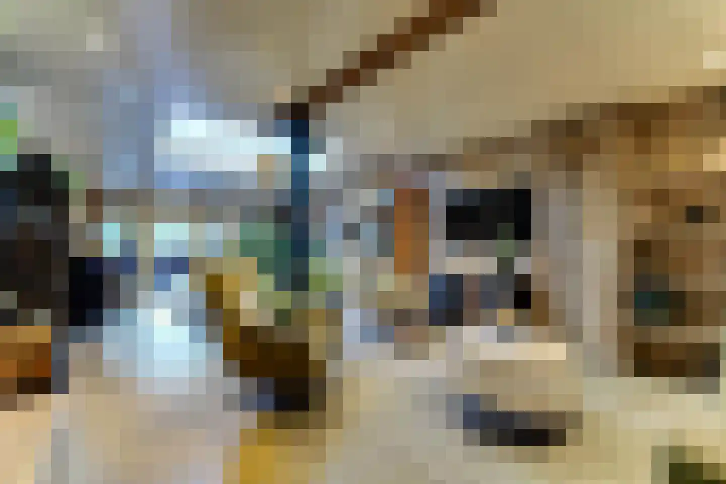 Dorpsweg 171 Twisk thumbnail 36