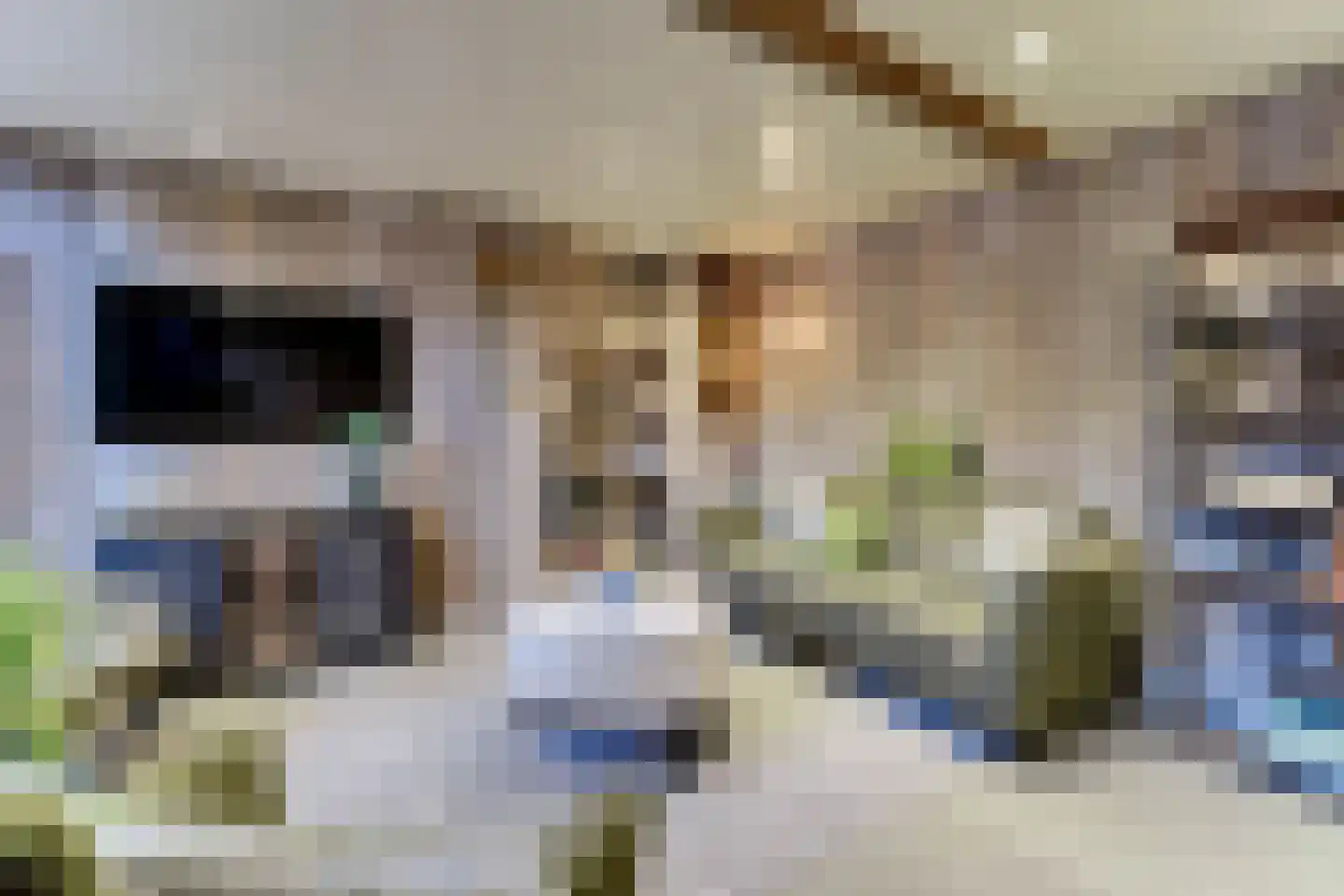 Dorpsweg 171 Twisk thumbnail 37