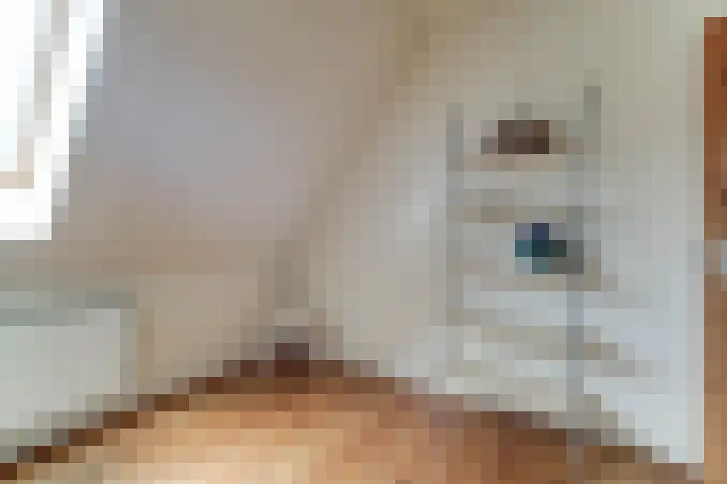 Dorpsweg 171 Twisk thumbnail 58