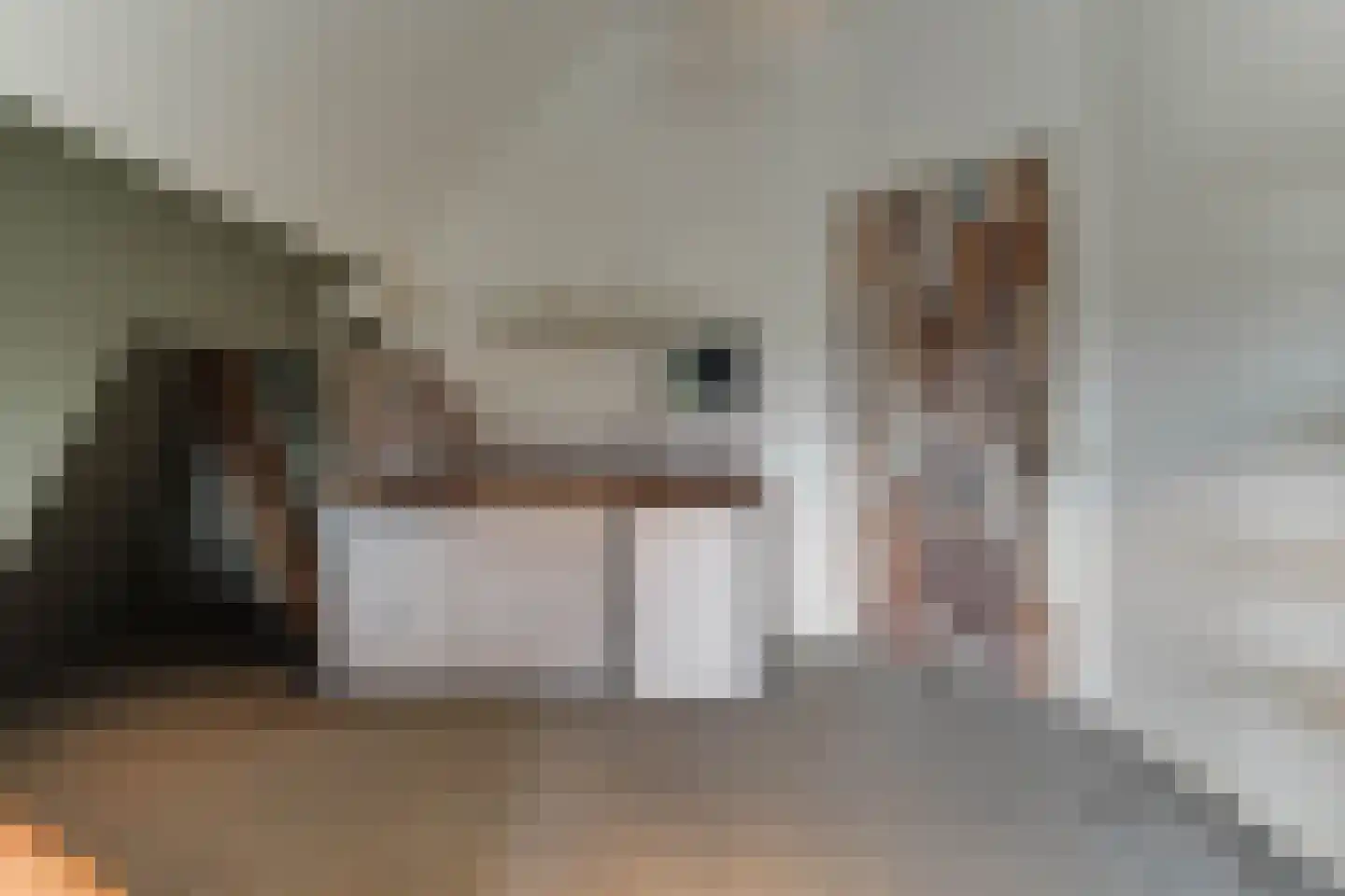 Dorpsweg 171 Twisk thumbnail 75