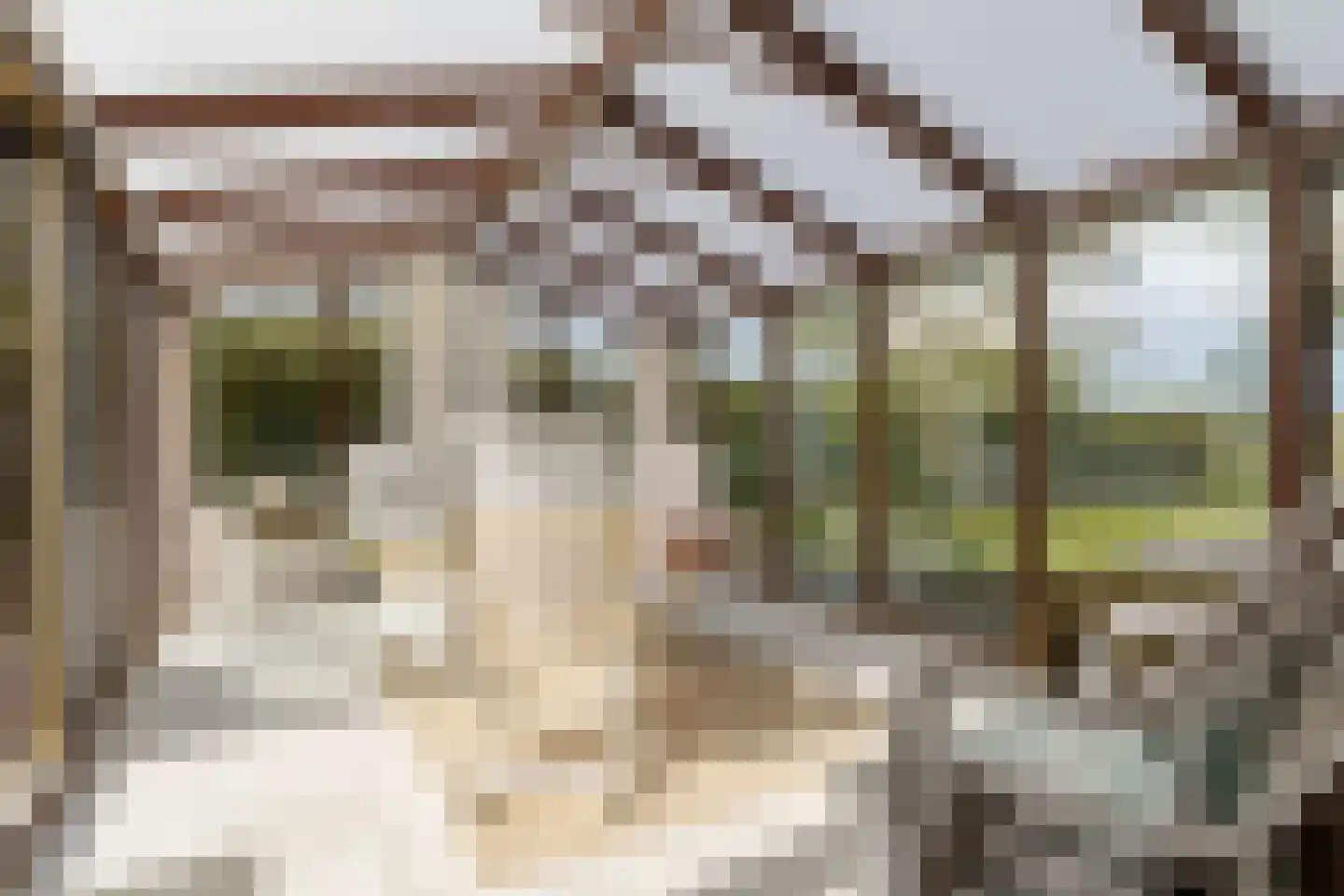 Dorpsweg 172 Hensbroek thumbnail 34