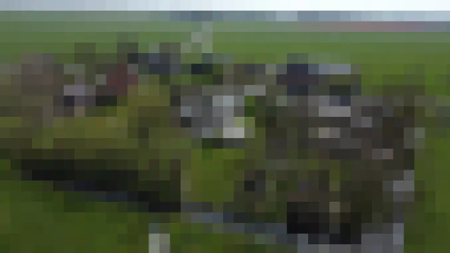 Dorpsweg 172 Hensbroek thumbnail 4