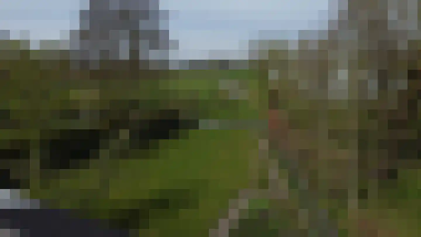 Dorpsweg 172 Hensbroek thumbnail 45