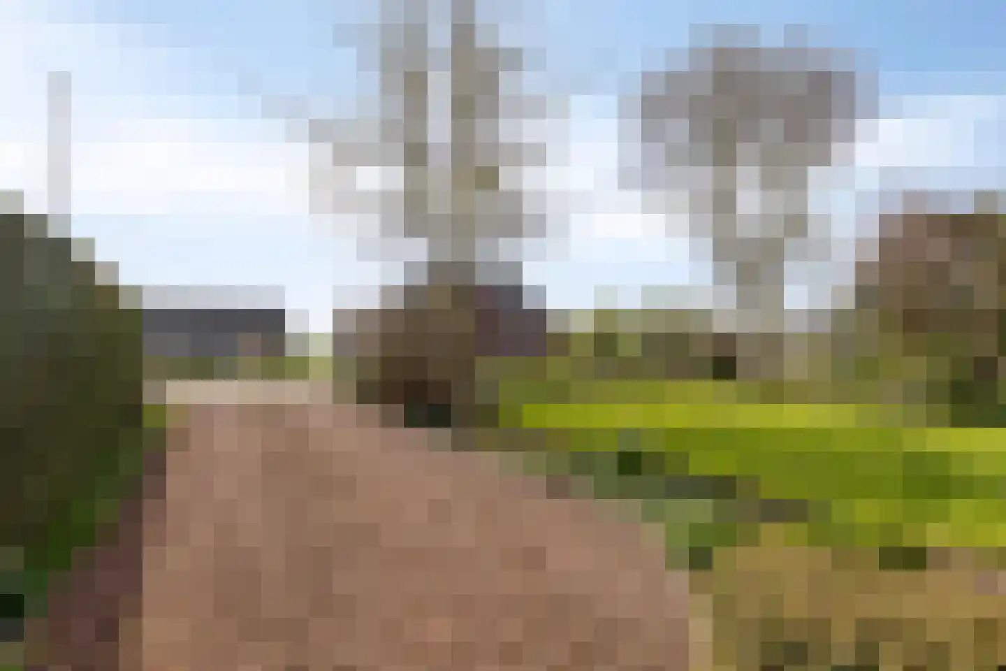 Dorpsweg 172 Hensbroek thumbnail 51
