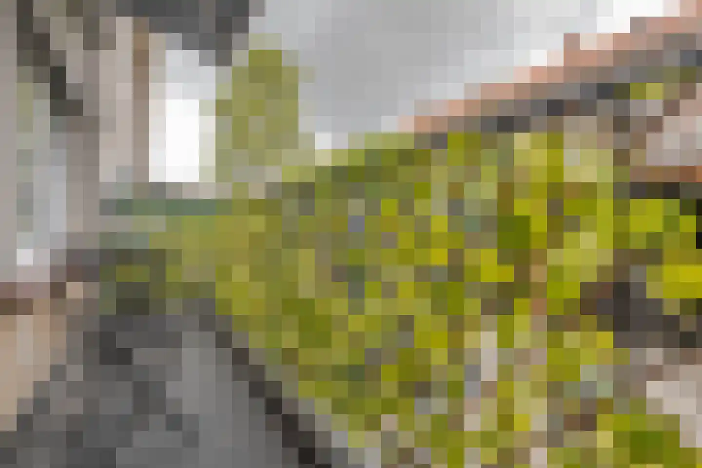 Dorpsweg 178 C Rotterdam thumbnail 18