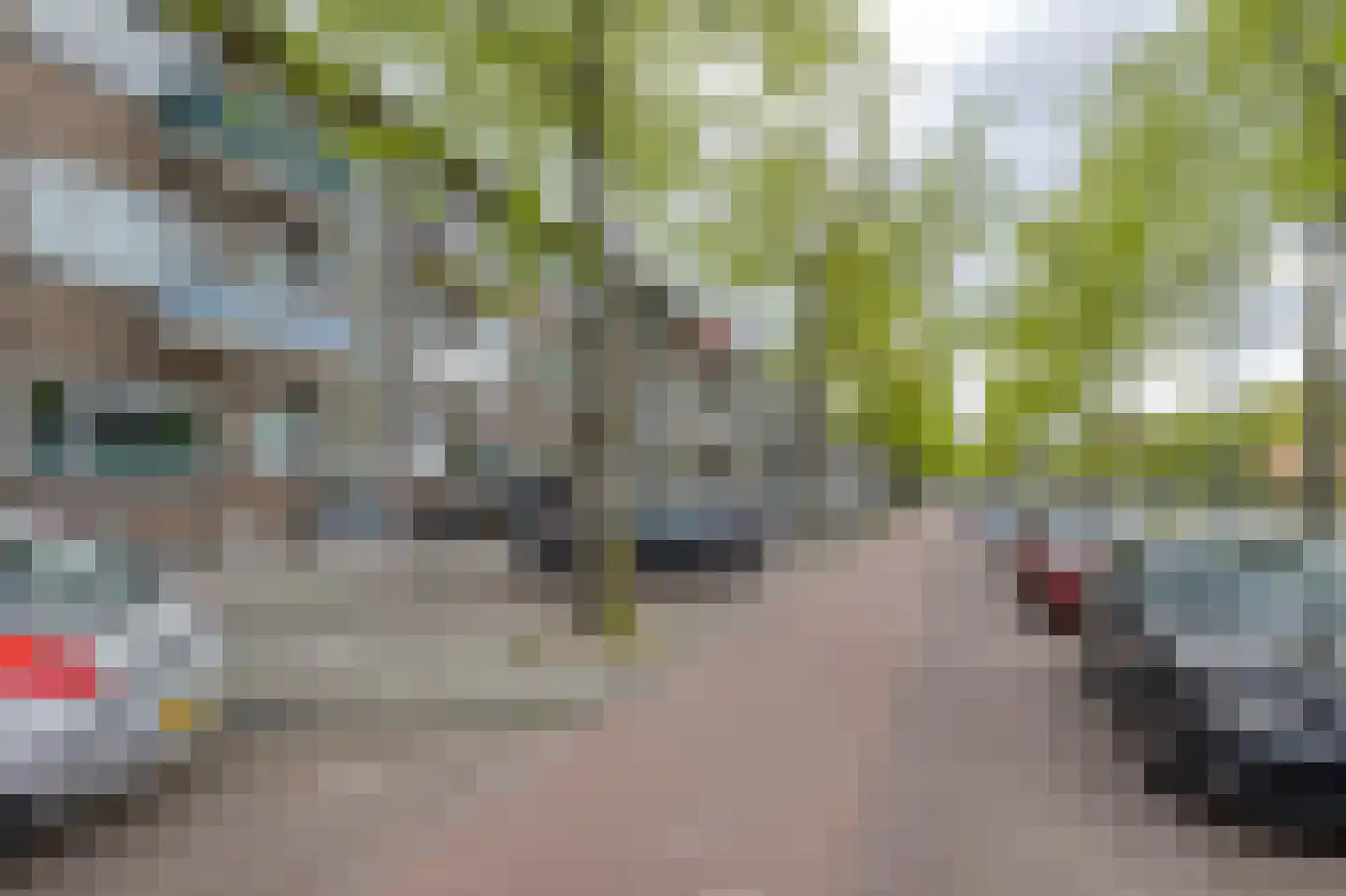 Dorpsweg 178 C Rotterdam thumbnail 6
