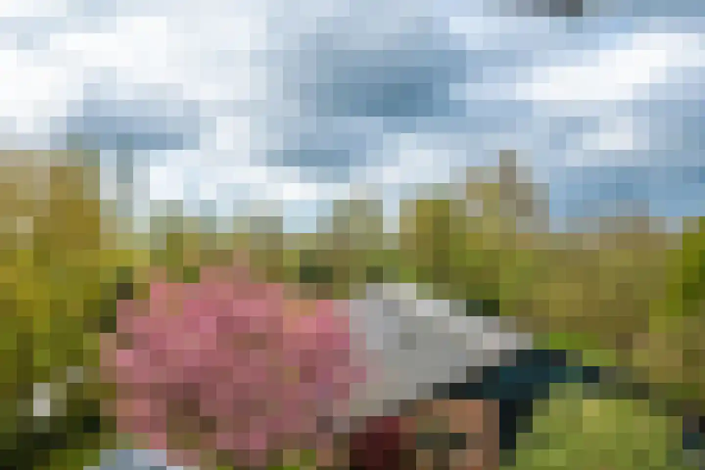 Dorpsweg 182 Twisk thumbnail 108