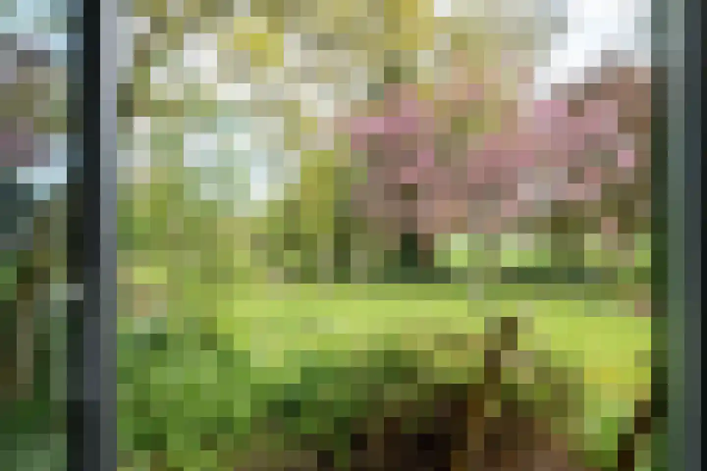 Dorpsweg 182 Twisk thumbnail 118