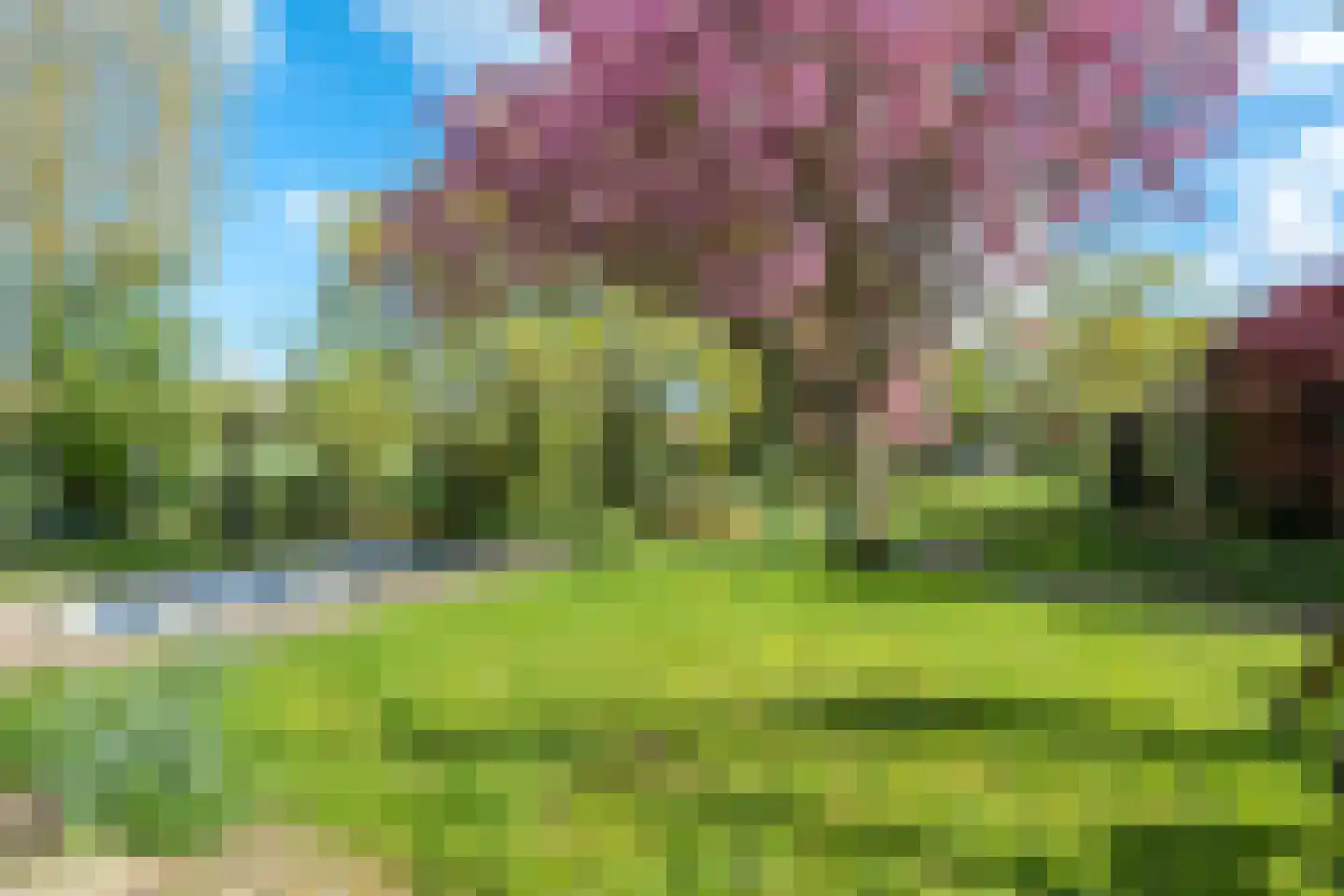 Dorpsweg 182 Twisk thumbnail 133