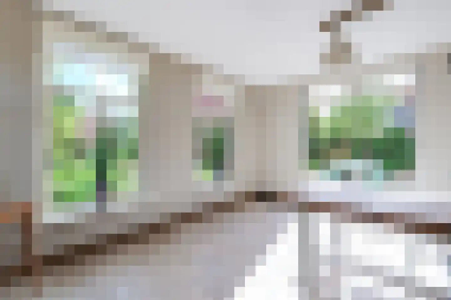 Dorpsweg 182 Twisk thumbnail 32