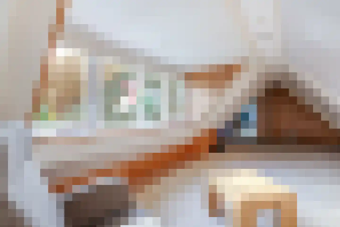 Dorpsweg 182 Twisk thumbnail 58