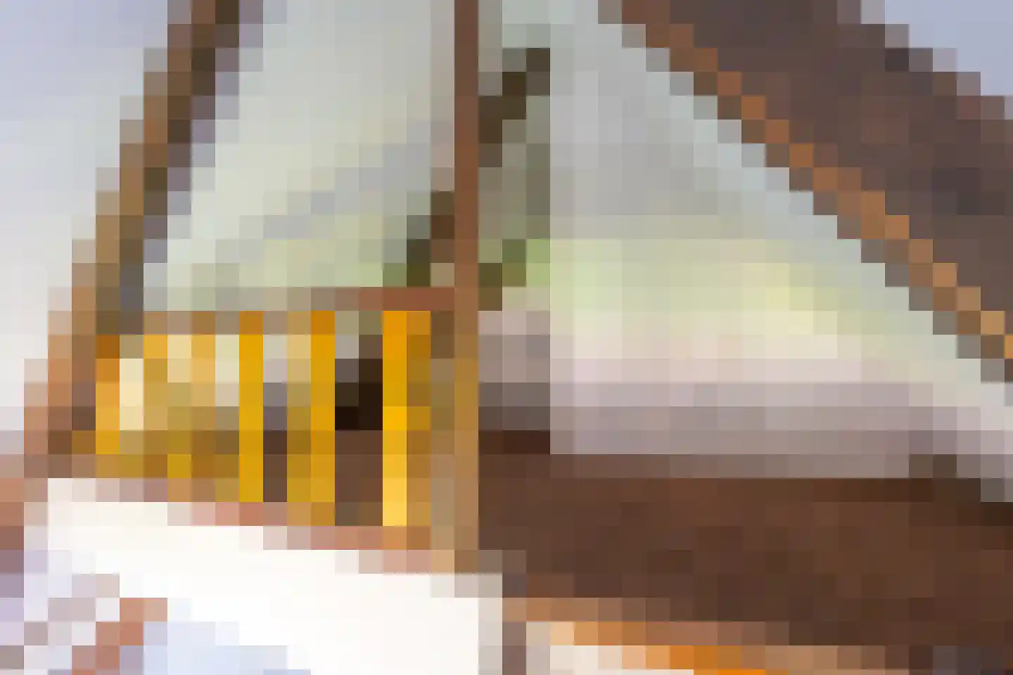 Dorpsweg 182 Twisk thumbnail 62