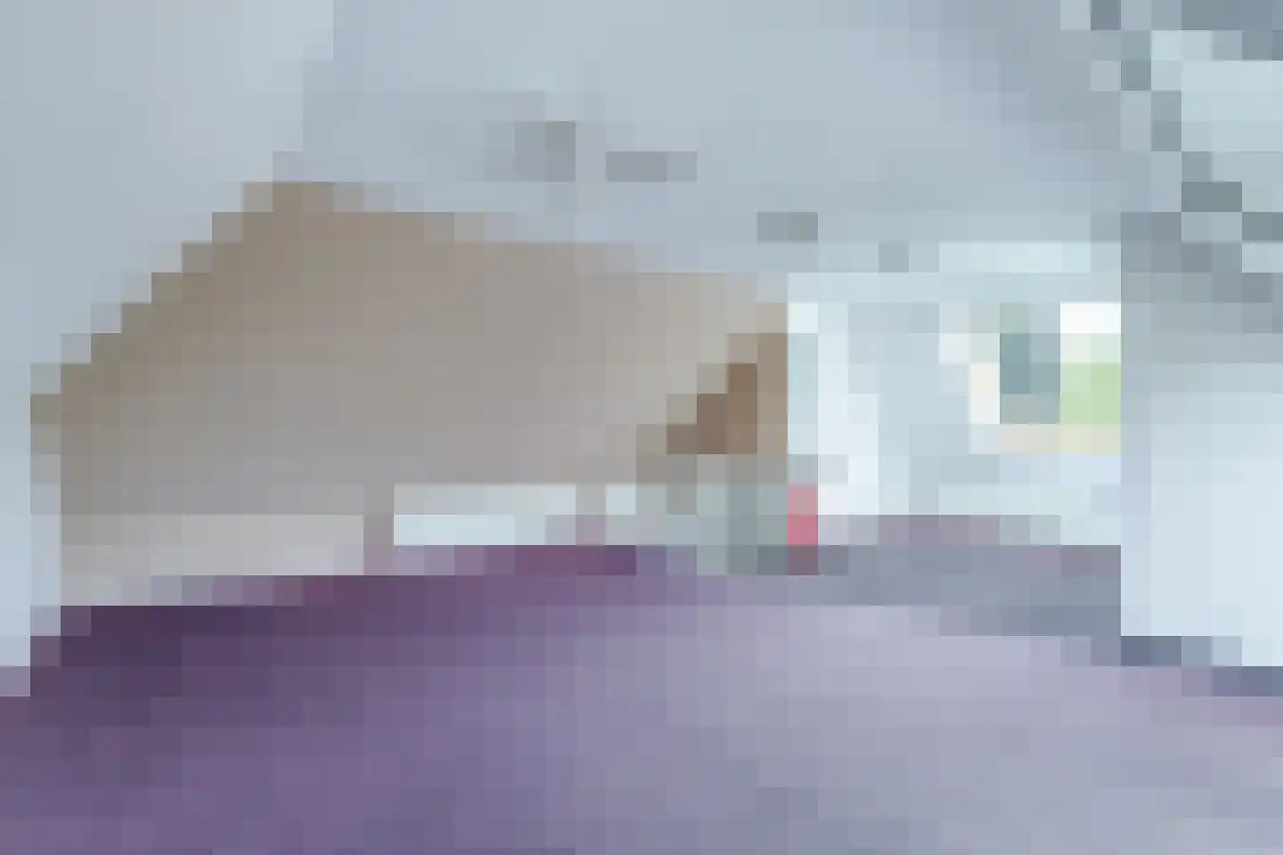 Dorpsweg 182 Twisk thumbnail 75