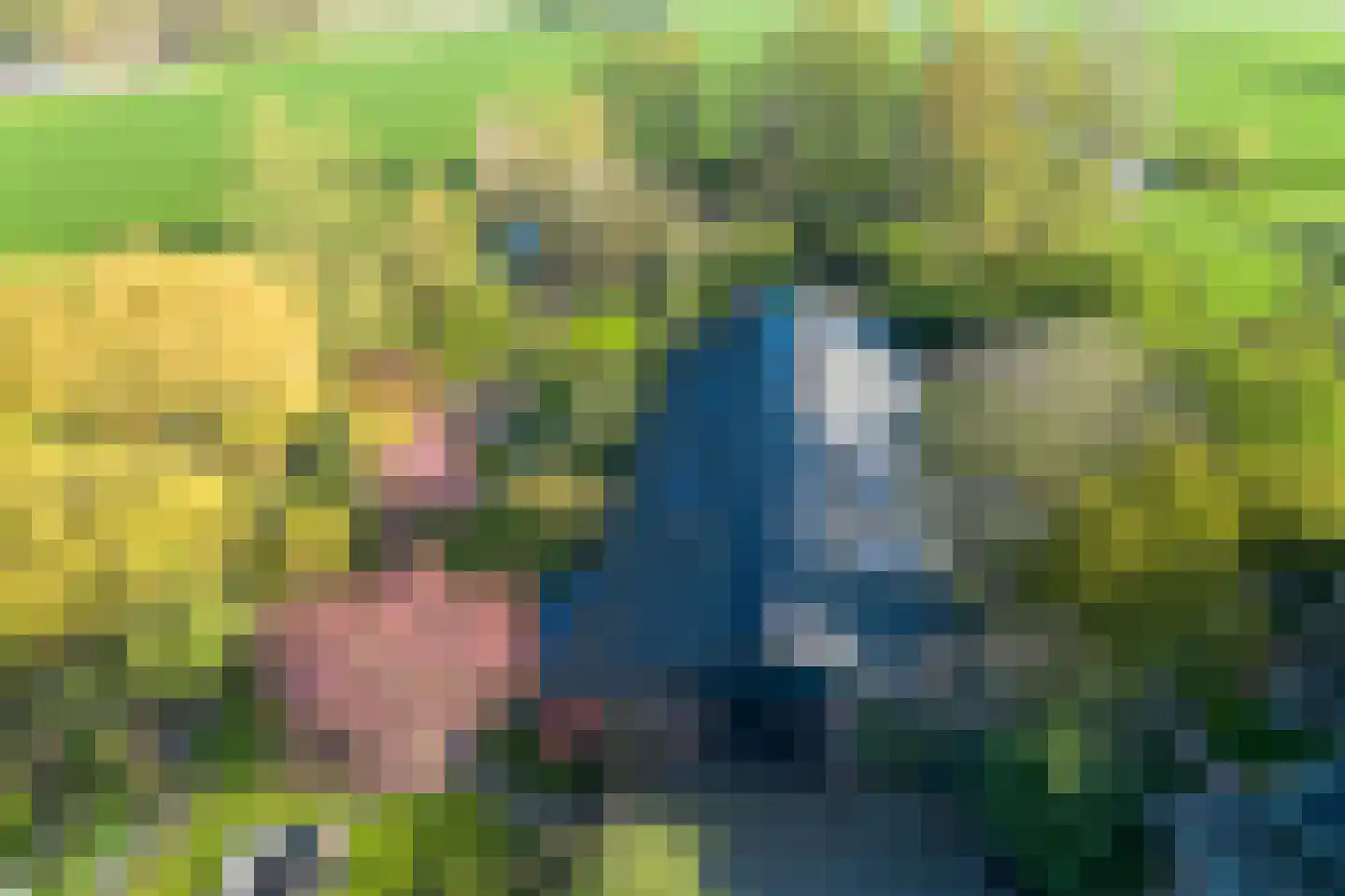 Dorpsweg 182 Twisk thumbnail 76