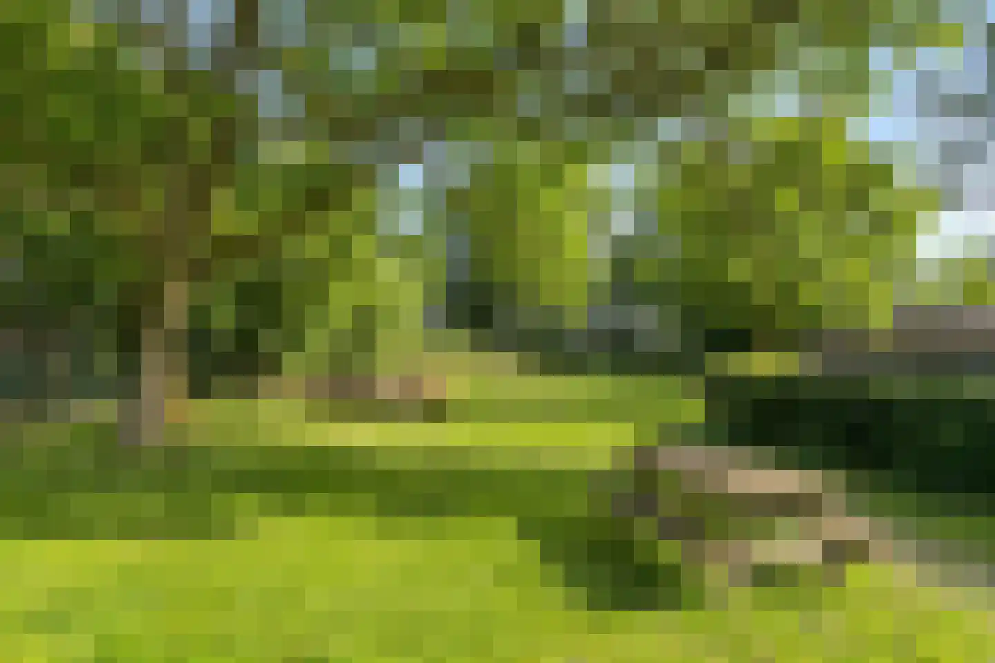 Dorpsweg 182 Twisk thumbnail 8