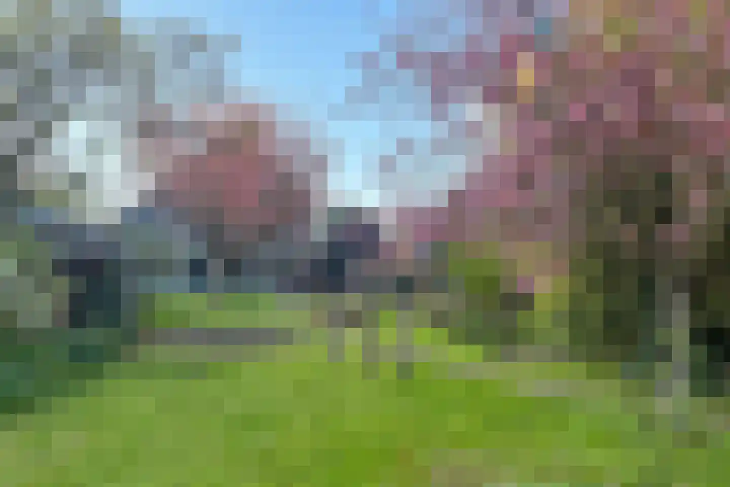 Dorpsweg 182 Twisk thumbnail 8