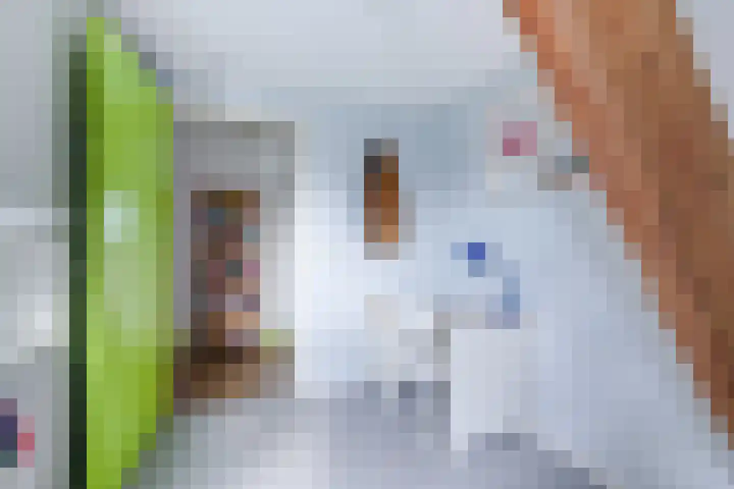 Dorpsweg 182 Twisk thumbnail 95
