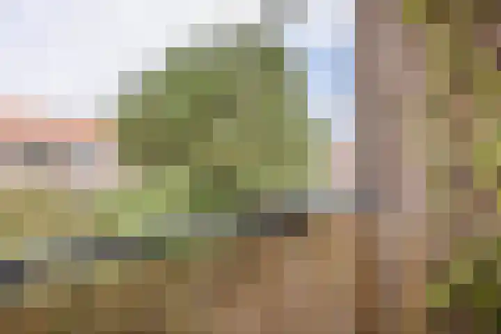 Dorpsweg 185 A Rotterdam thumbnail 20