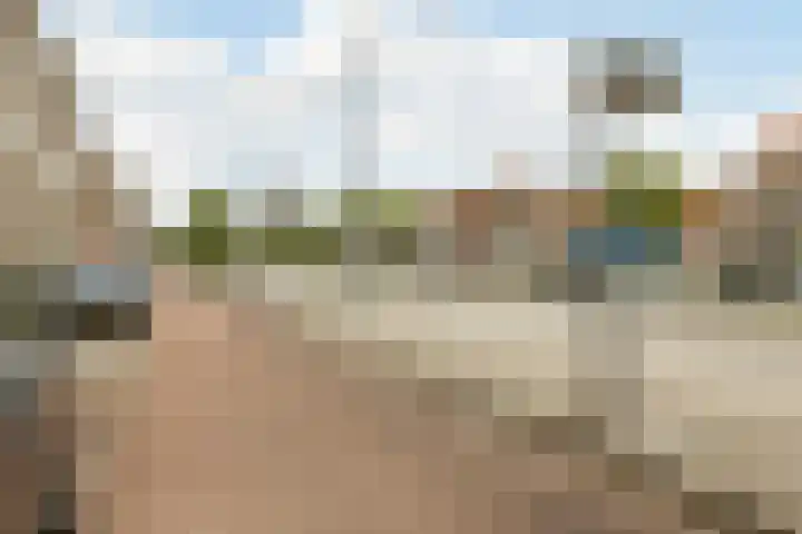 Dorpsweg 185 A Rotterdam thumbnail 24