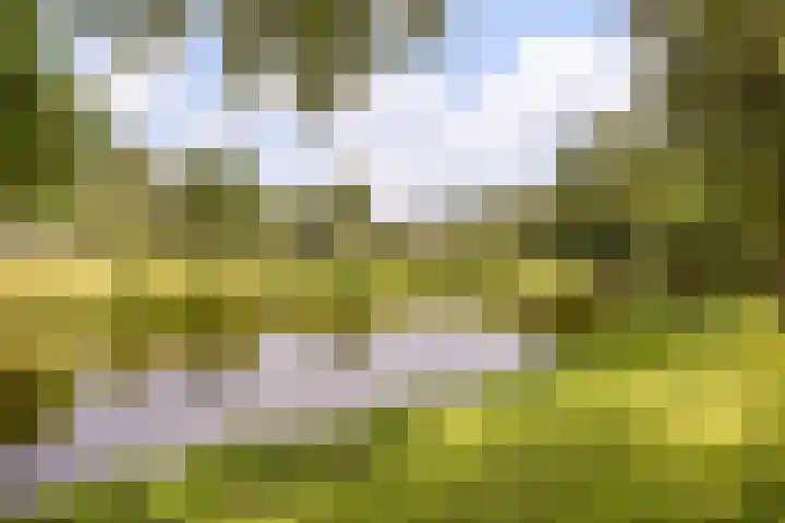 Dorpsweg 185 A Rotterdam thumbnail 26