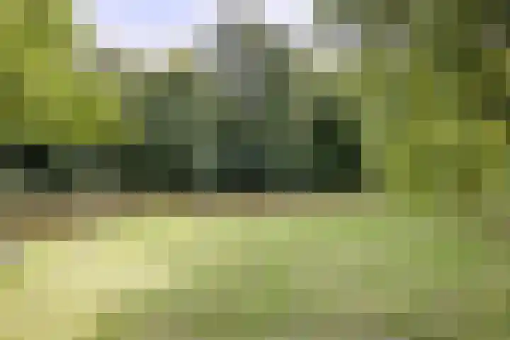 Dorpsweg 185 A Rotterdam thumbnail 27
