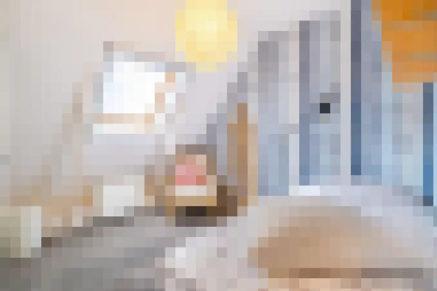 Dorpsweg 19 Onnen thumbnail 39