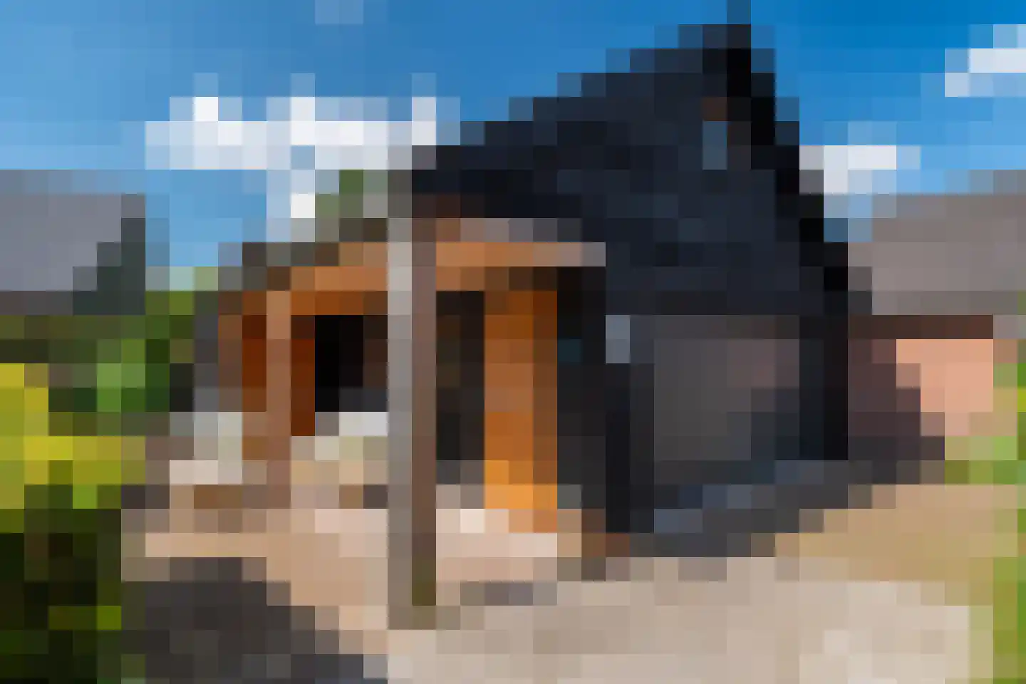 Dorpsweg 19 Onnen thumbnail 61