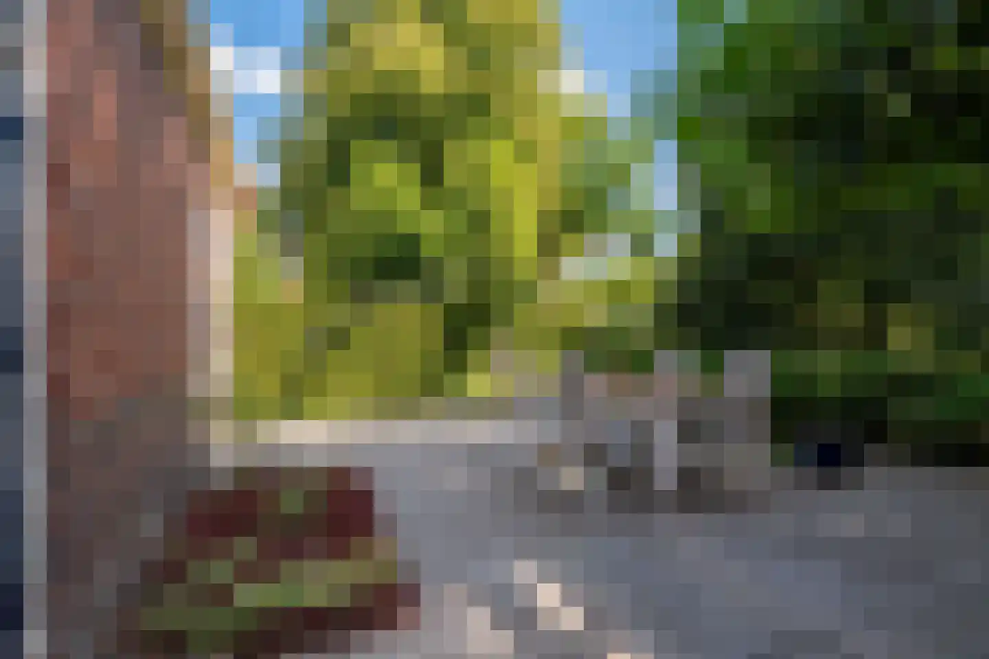 Dorpsweg 19 Onnen thumbnail 66
