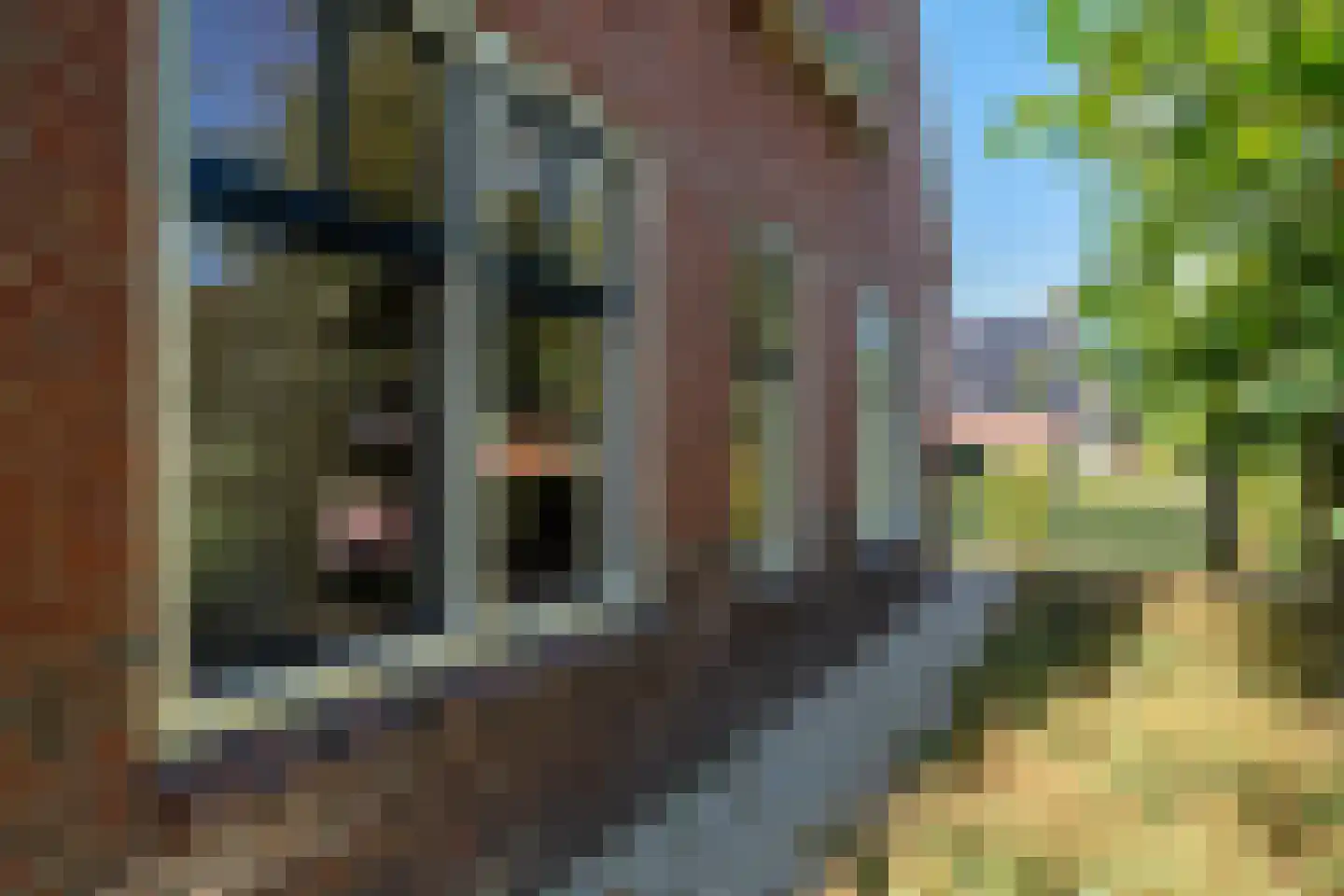 Dorpsweg 19 Onnen thumbnail 68