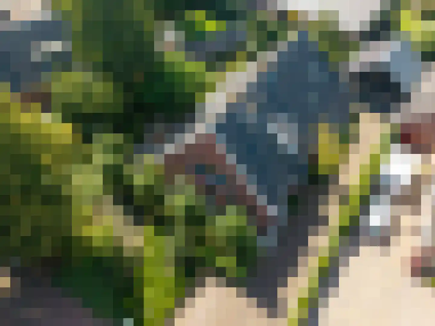 Dorpsweg 19 Onnen thumbnail 71