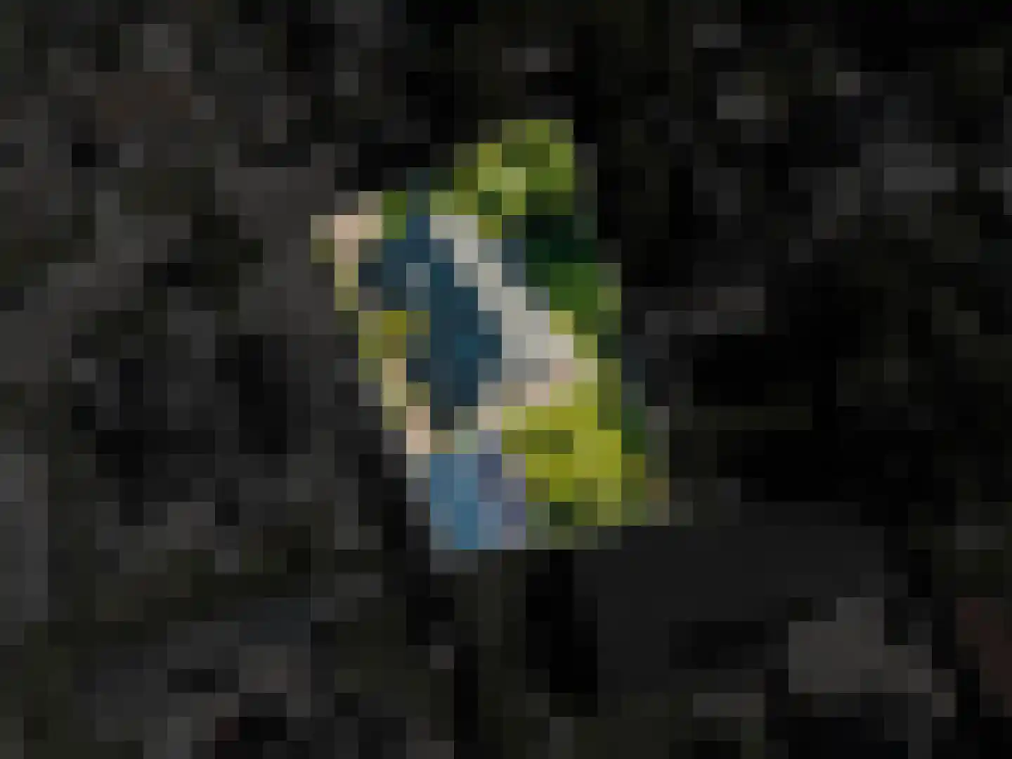 Dorpsweg 19 Onnen thumbnail 74