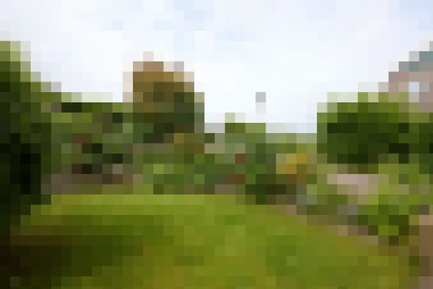 Dorpsweg 19 Oudendijk thumbnail 10