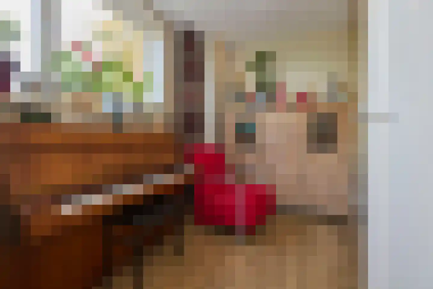 Dorpsweg 19 Oudendijk thumbnail 17