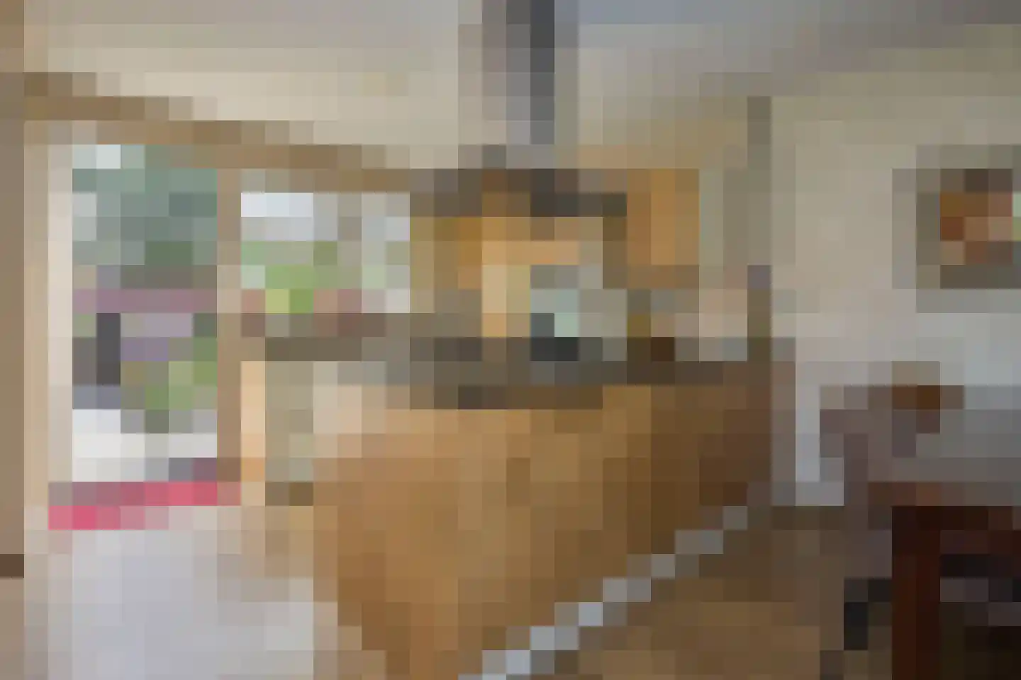 Dorpsweg 19 Oudendijk thumbnail 24