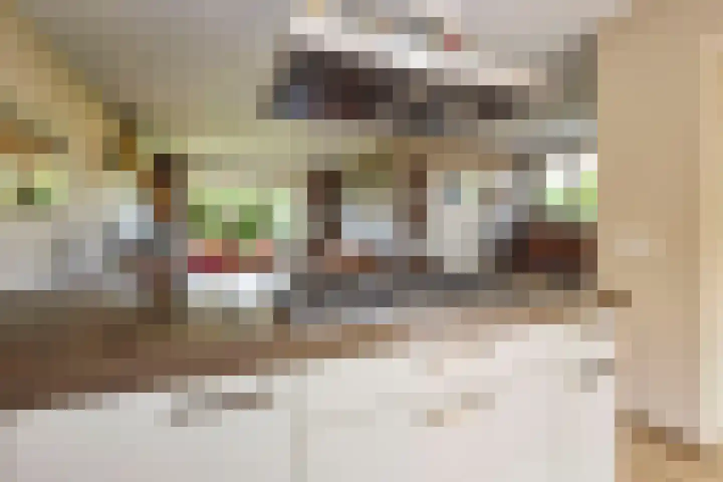 Dorpsweg 19 Oudendijk thumbnail 25