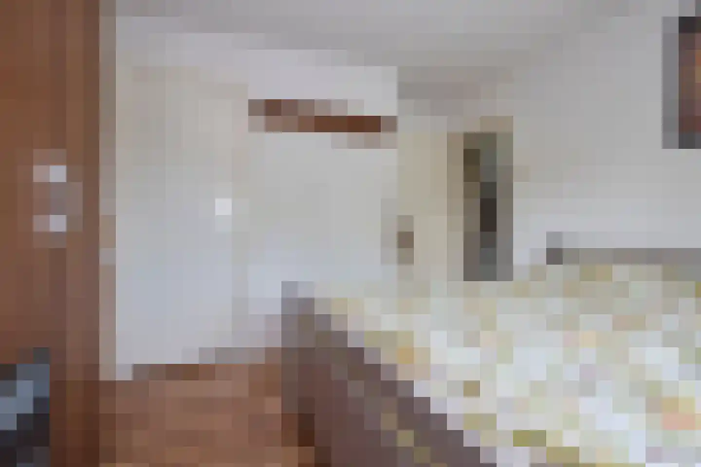 Dorpsweg 19 Oudendijk thumbnail 35