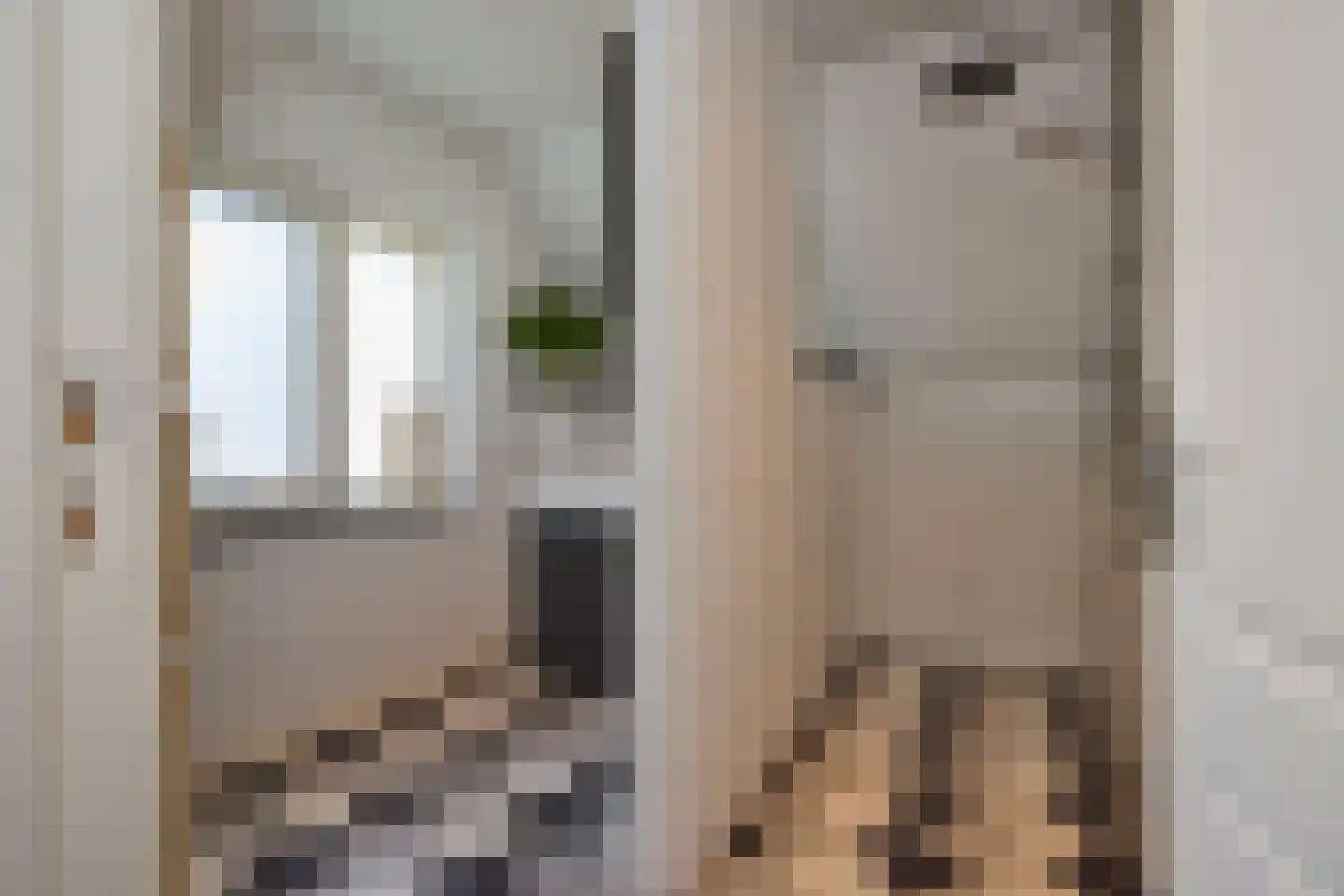 Dorpsweg 19 Oudendijk thumbnail 37