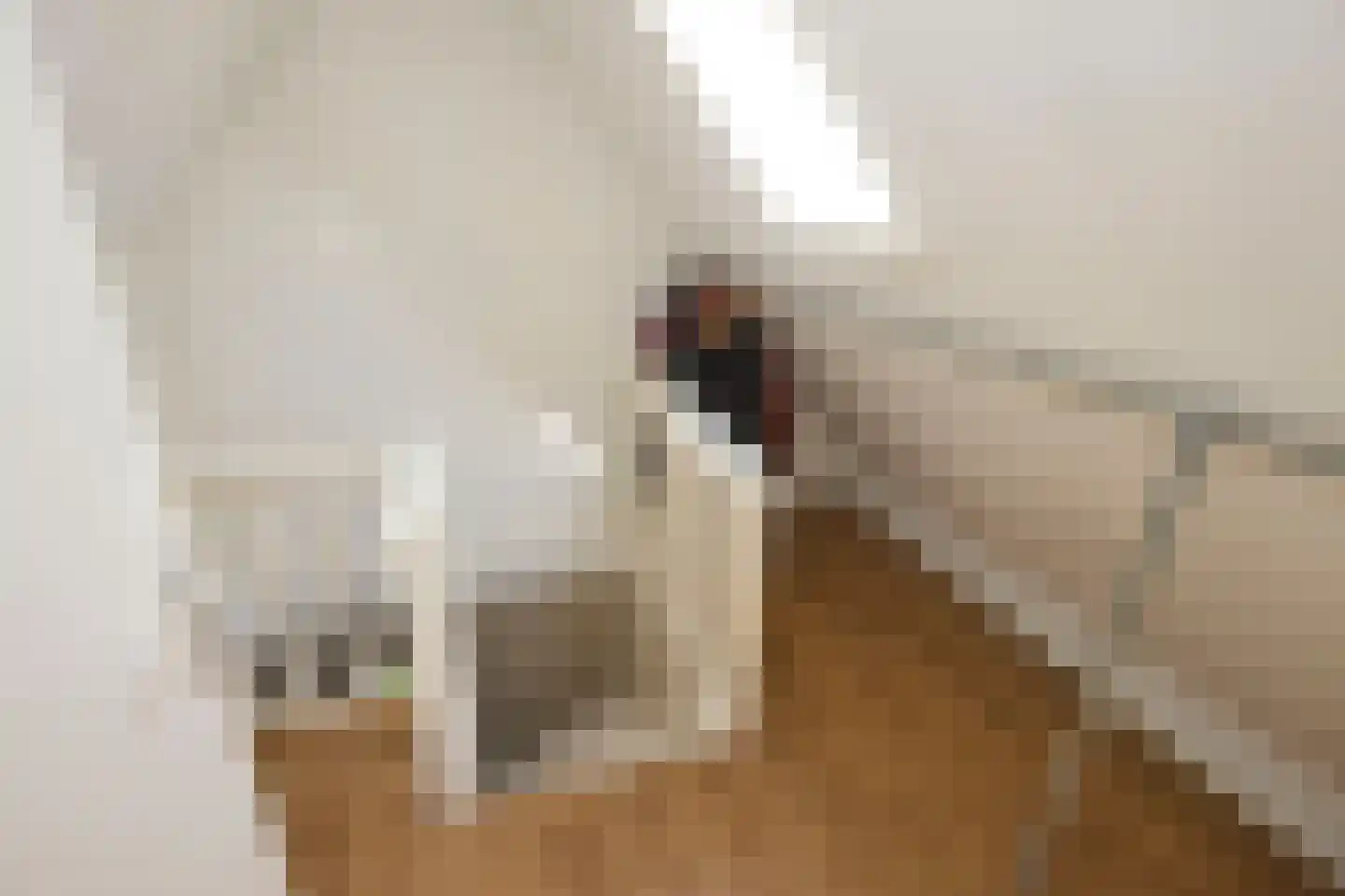Dorpsweg 19 Oudendijk thumbnail 43