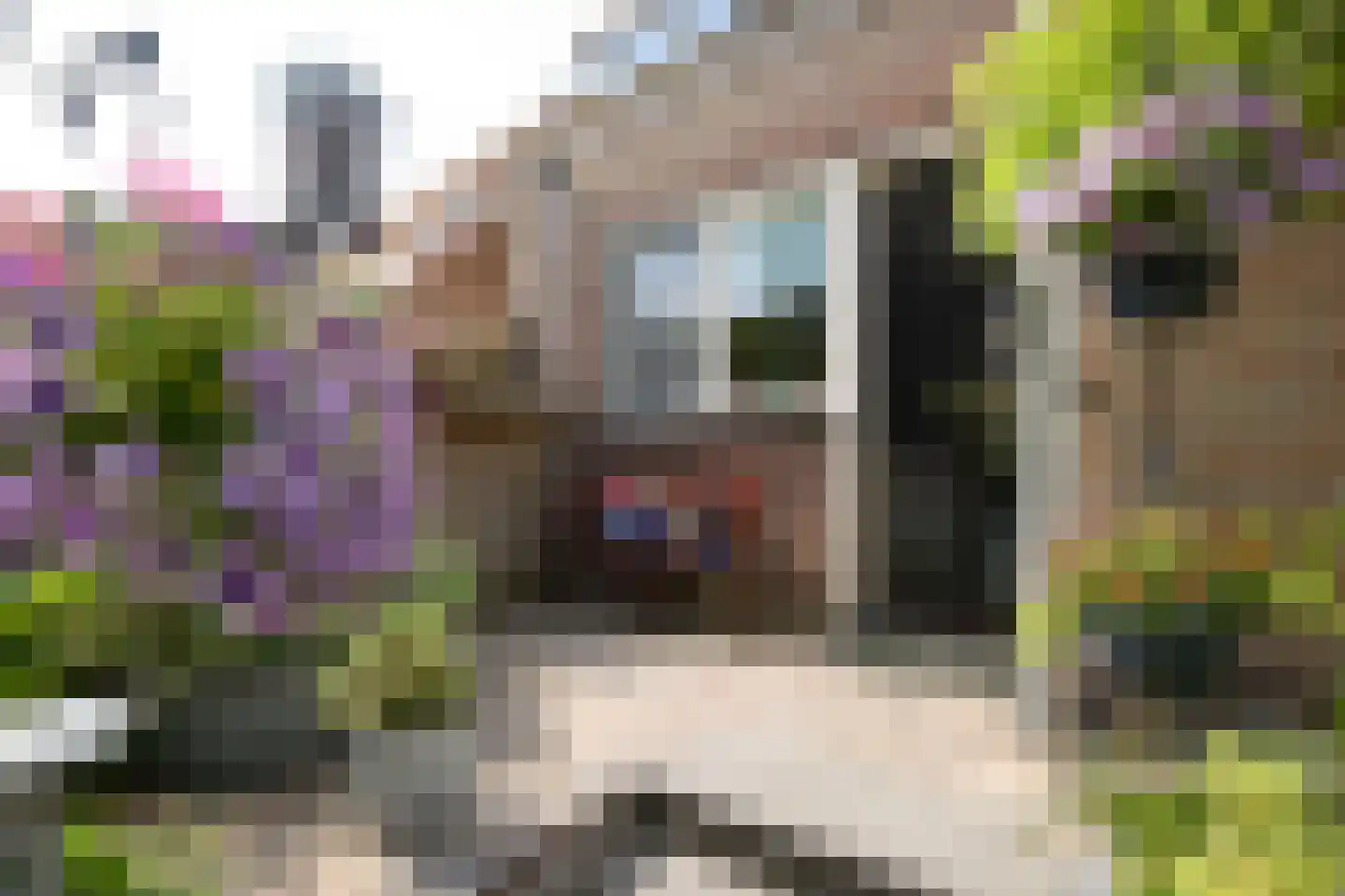Dorpsweg 19 Oudendijk thumbnail 48