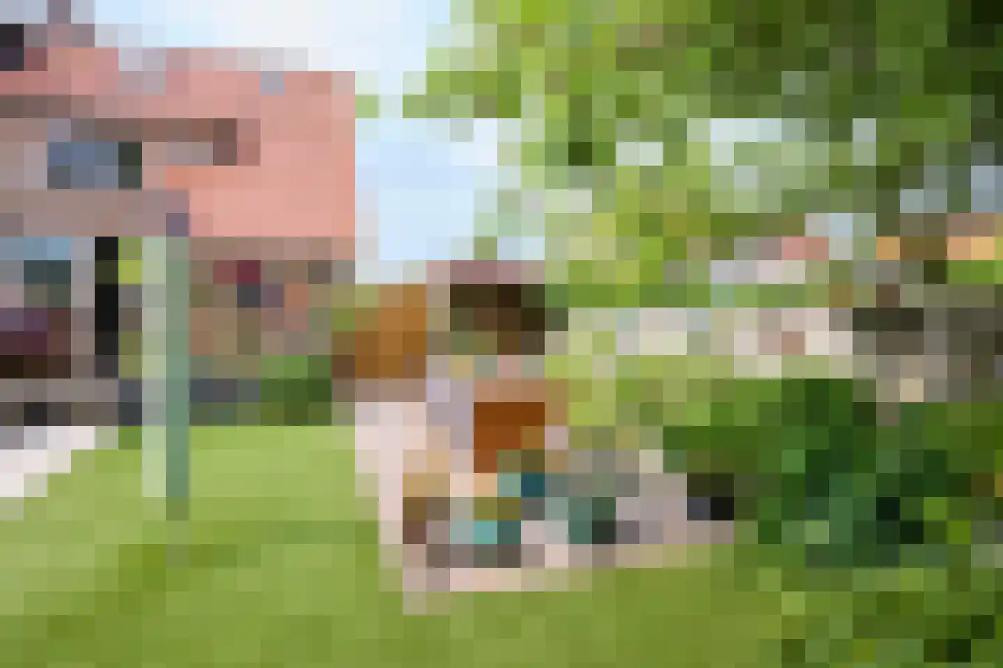 Dorpsweg 19 Oudendijk thumbnail 51