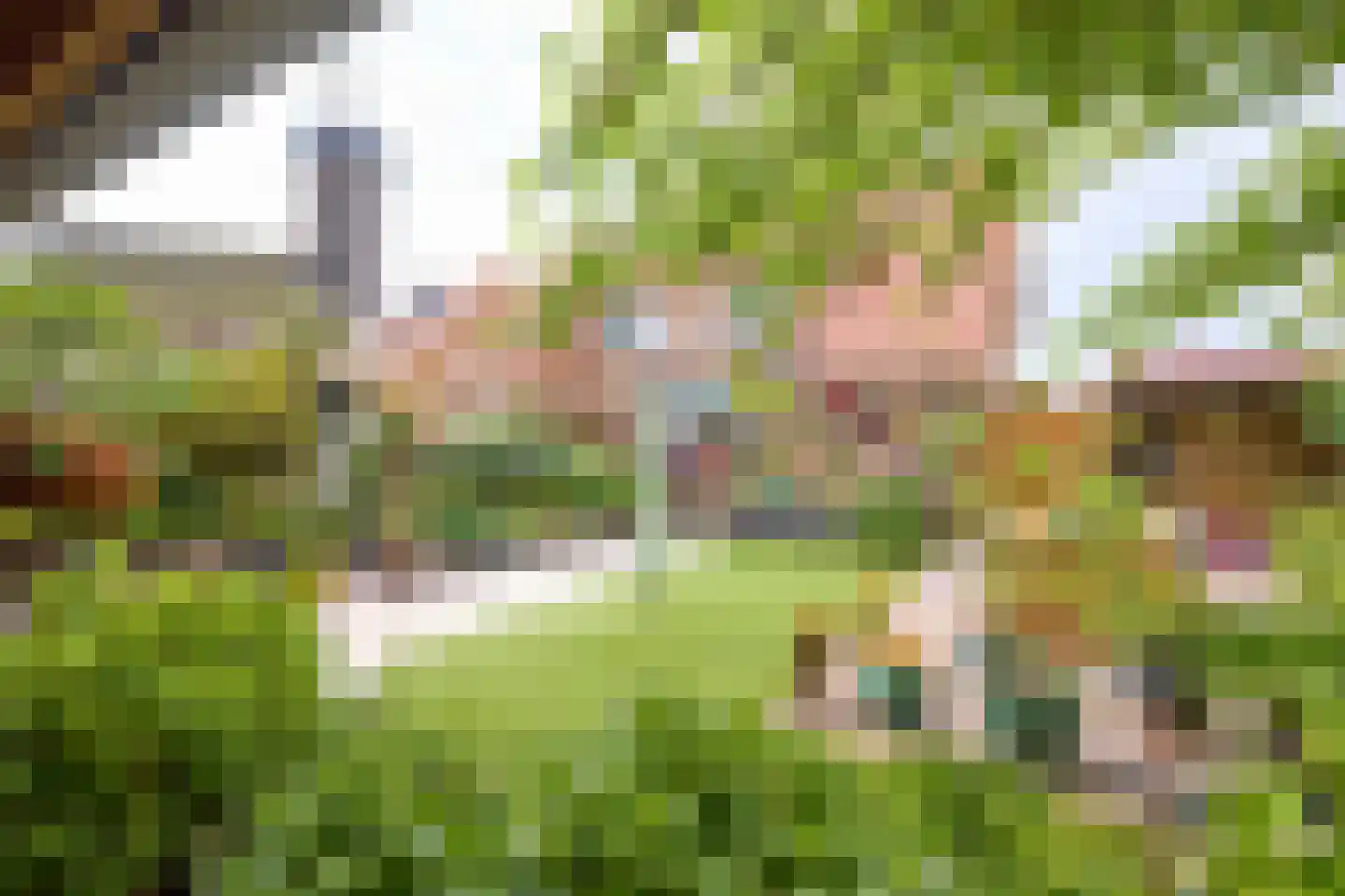 Dorpsweg 19 Oudendijk thumbnail 52